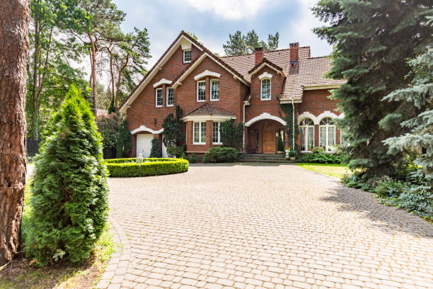 Best Brick Driveway Pavers  in Csar Chvez, TX