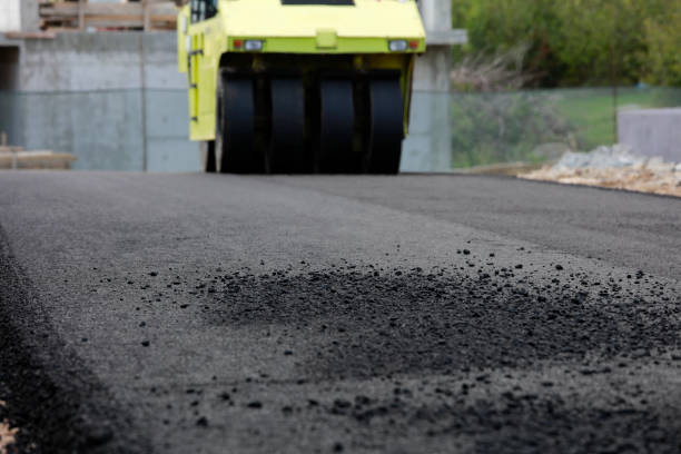 Best Local Driveway Pavers  in Csar Chvez, TX