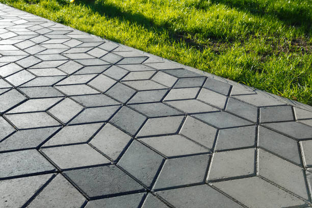 Best Driveway Paving Contractor  in Csar Chvez, TX