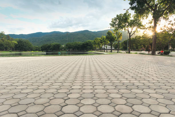 Best Paver Driveway Replacement  in Csar Chvez, TX